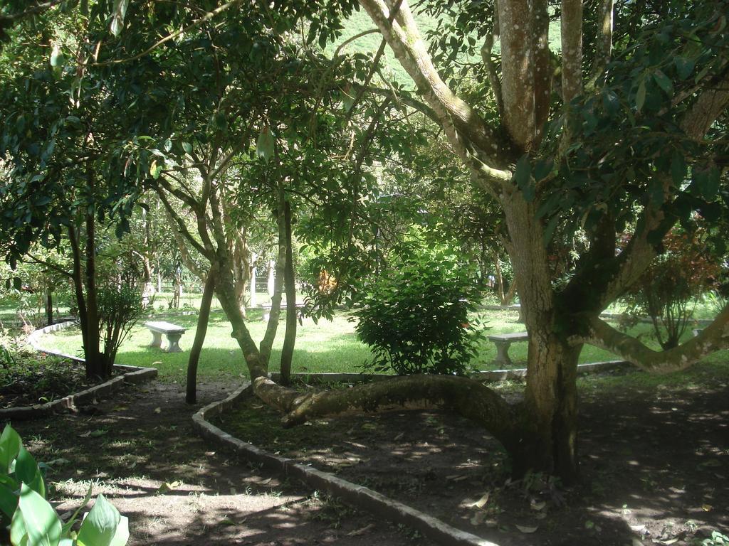 Hosteria La Eterna Primavera Huigra Luaran gambar